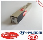 Delphi  Common Rail Injector  EJBR02801D  33800-4X500  For Hyundai  KIA engine