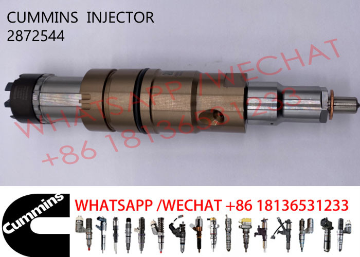 2872544 Diesel Common Rail Fuel Injector 4955080 2872289 2872284 For SCANIA