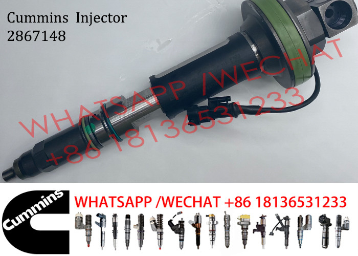 Diesel Engine Fuel Injector 2867148 2867147 2882078 For Cummins QSK19 QSK60 Engine